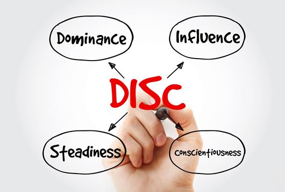 Everything You Need to Know About Disc Assessment Certification