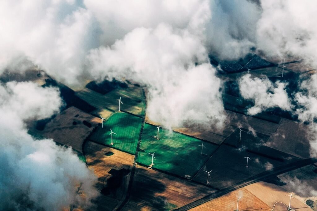 Can AI and Software Help in Improving Environmentalism?