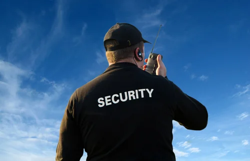Guardians of Resilience: Security Guards safeguarding the Sensitive Infrastructure Security Guards