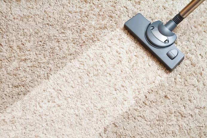 How to Search for Professional Carpet Cleaners Around You? how-to-search-for-professional-carpet-cleaners-around-you/