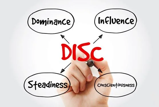 Disc Assessment Certification