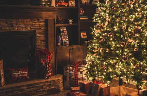 Preparing Your E-Commerce Website for the Holiday Season https://www.pexels.com/photo/lighted-christmas-tree-1708601/