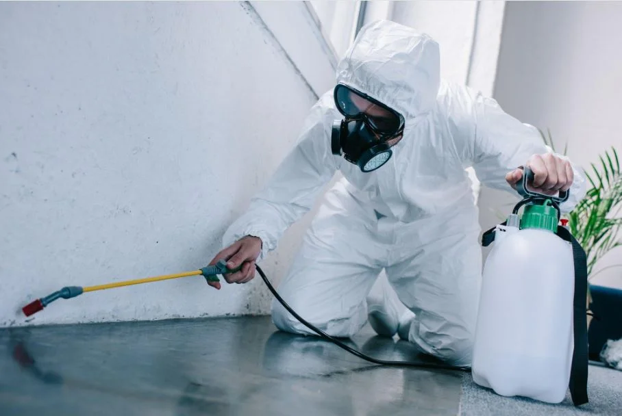 pest control vs exterminator