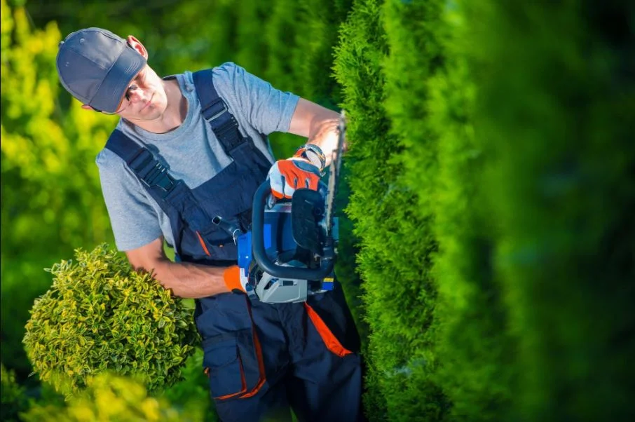 Designing A Profitable Landscaping Business Plan: Tips And Strategies landscaping business plan