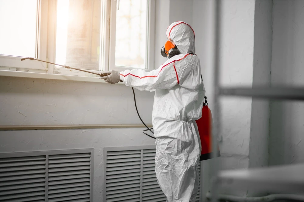 Why Mold Remediation Is Not a DIY Job mold is